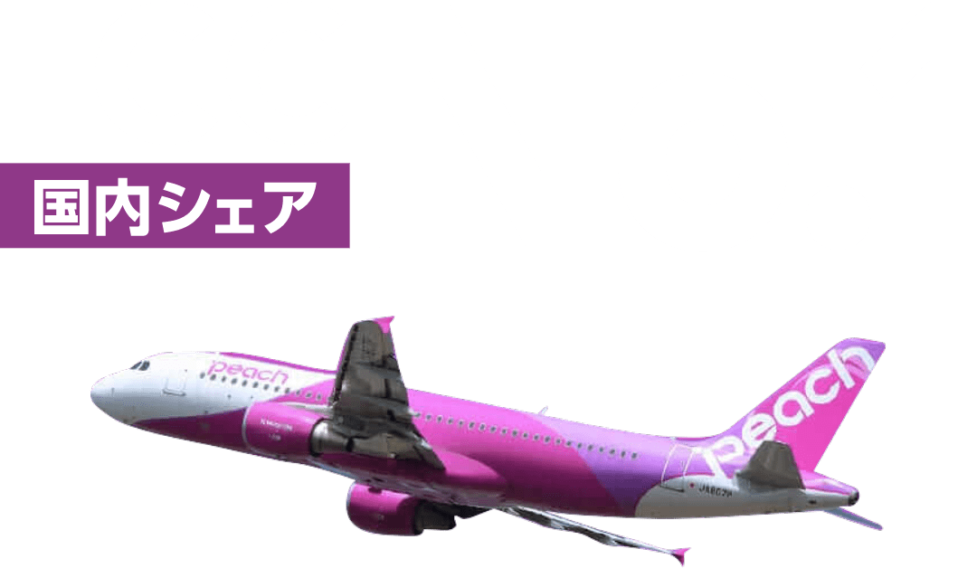 pc_airline_header-copy_mm