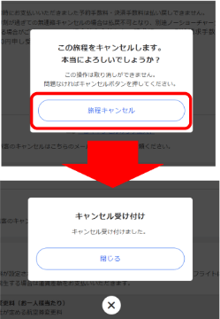 ご利用の流れ | 格安航空券・LCCの比較検索予約サイト【トラベリスト】