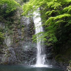 箕面滝 (箕面大滝)の写真